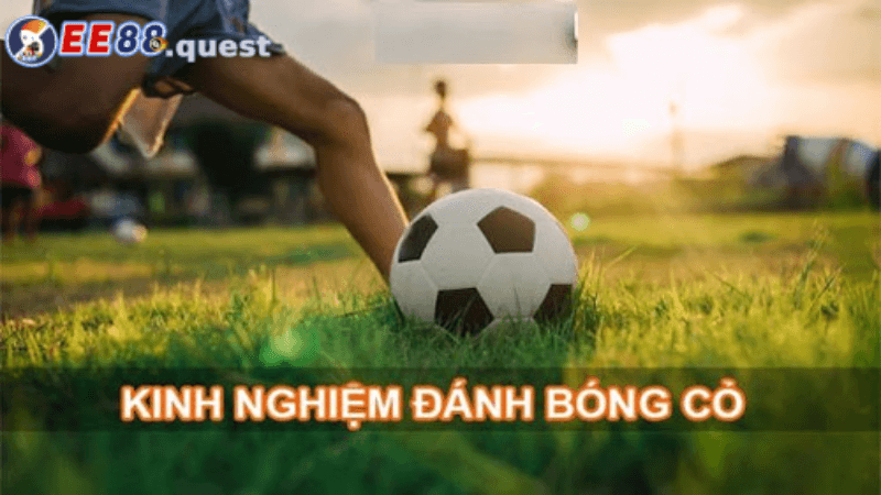 Các chiến lược quản lý vốn hiệu quả